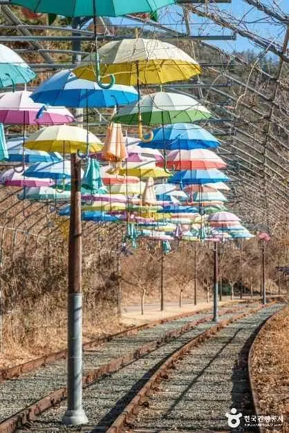 청도 레일바이크 사진