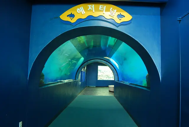 화진포해양박물관 사진