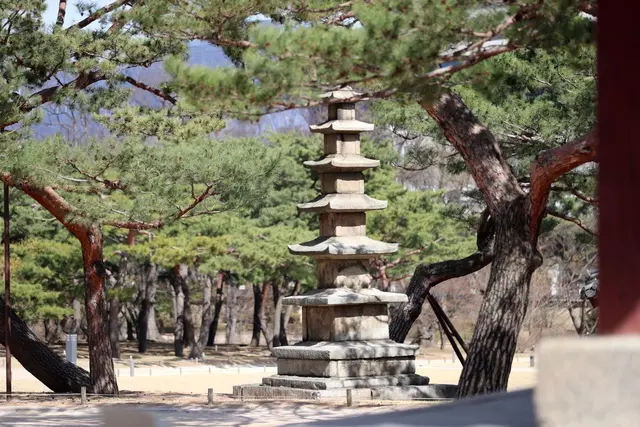 창경궁 사진