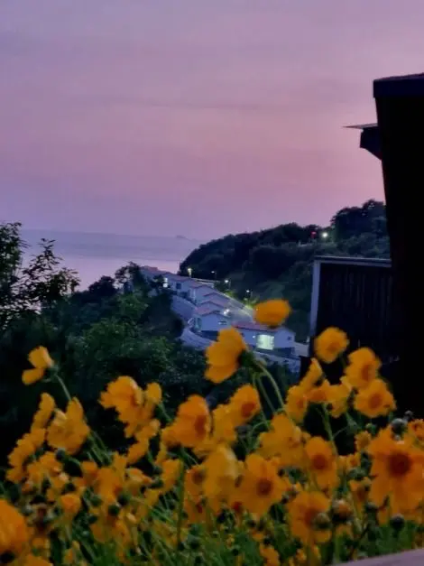변산자연휴양림 사진
