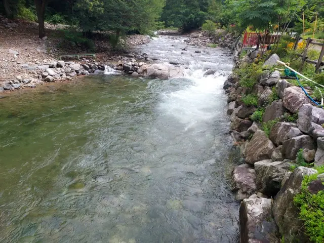 횡성산울림오토캠핑장 사진