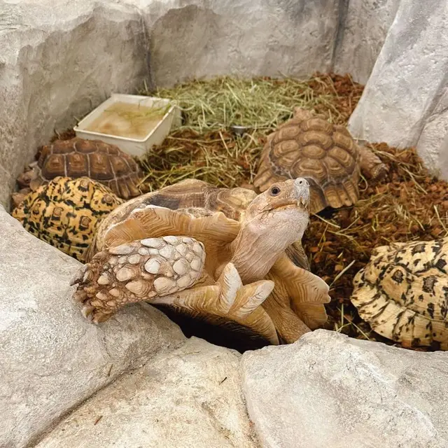 마리앤쥬 사진