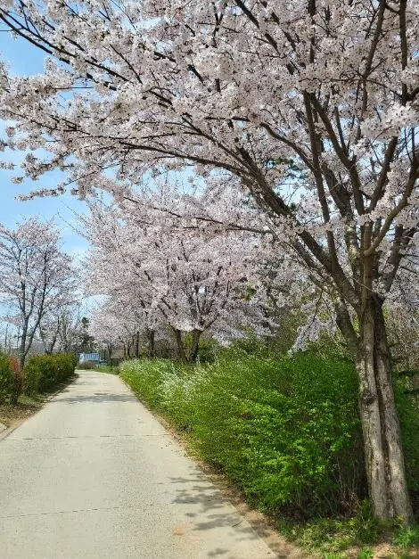 바다향기수목원 사진