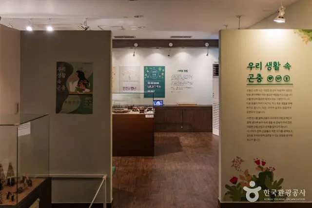 파주나비나라박물관 사진