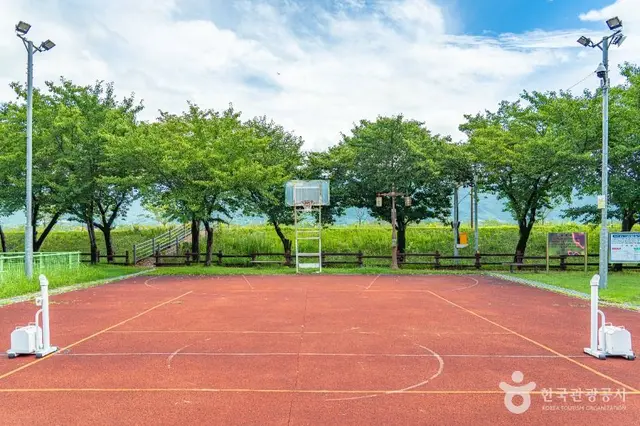 서시천체육공원 사진