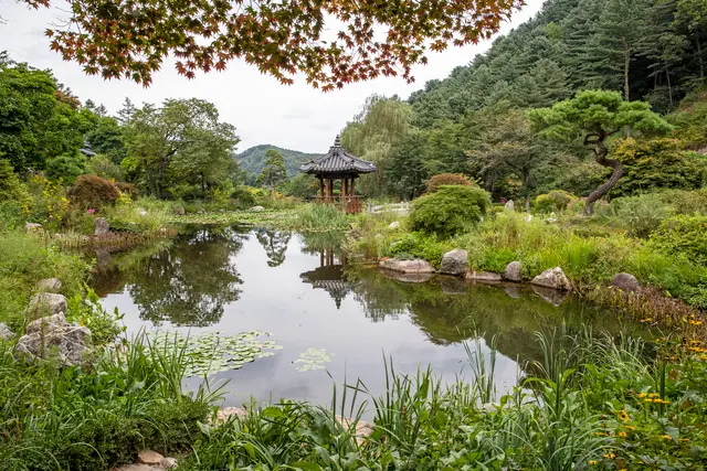 아침고요수목원 사진
