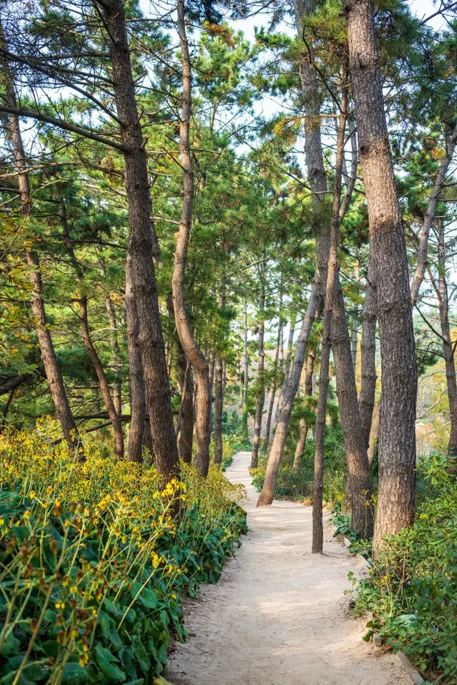 천리포수목원 사진