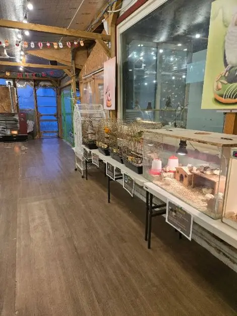 주파크 사진