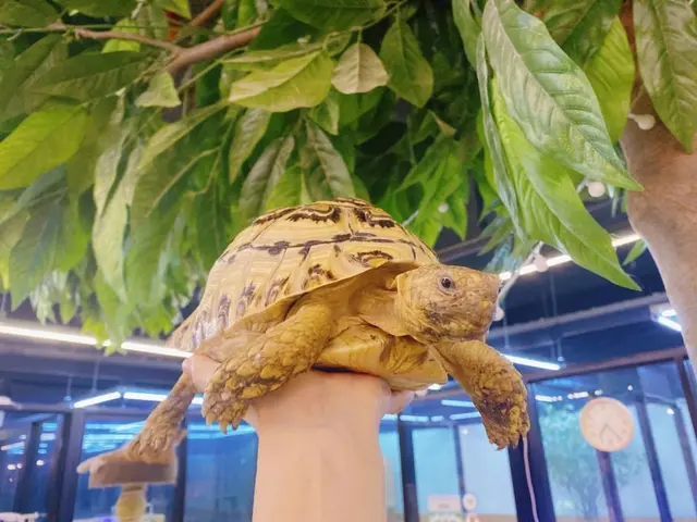마리앤쥬 사진