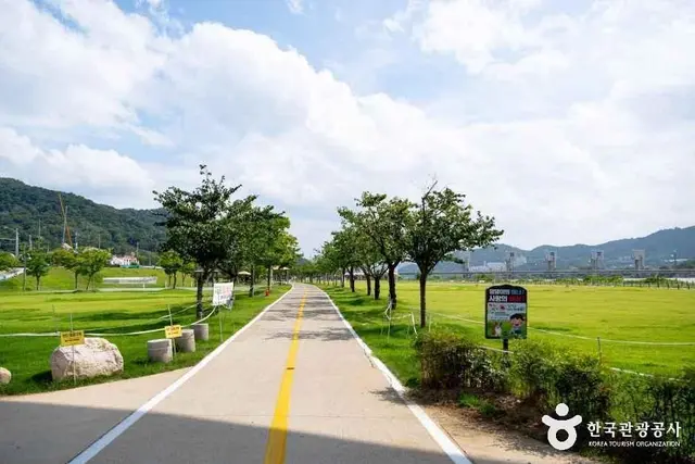 칠곡보 생태공원 사진