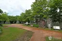 제주 교래자연휴양림 사진