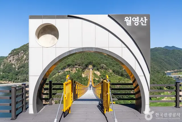 월영산 출렁다리 사진