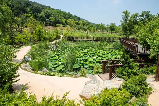 바다향기수목원 사진