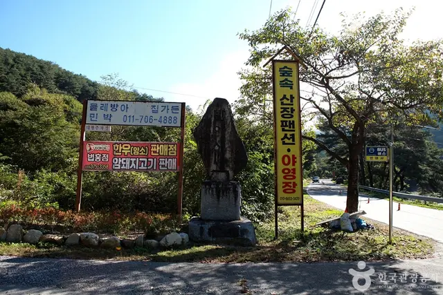 법흥계곡 사진