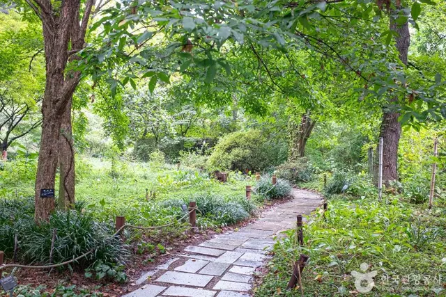 기청산식물원 사진