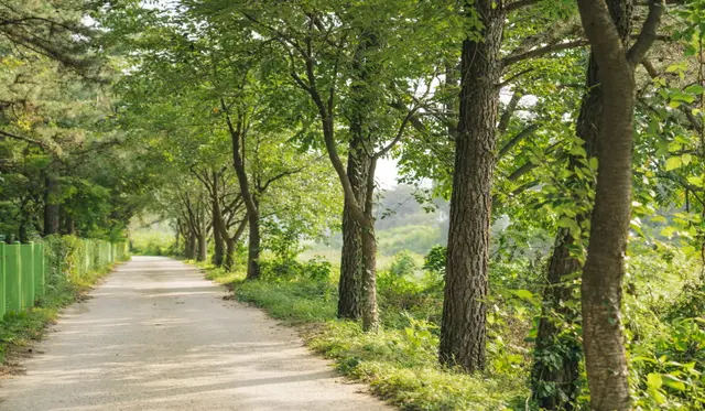 서운동산 사진