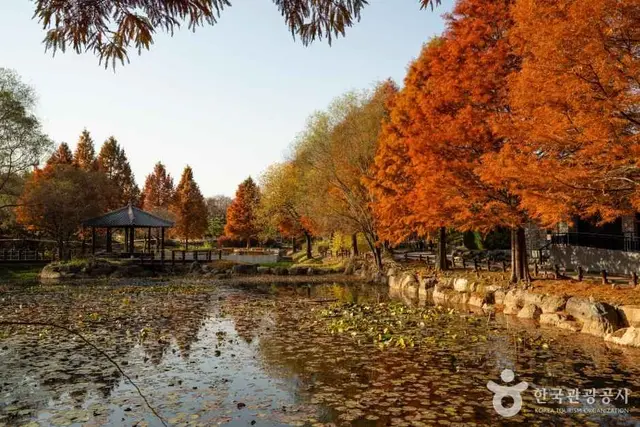 한국도로공사 전주수목원 사진