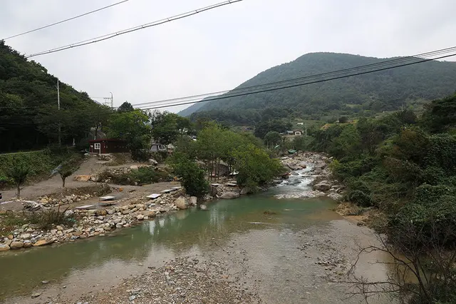 상비오토캠핑 사진