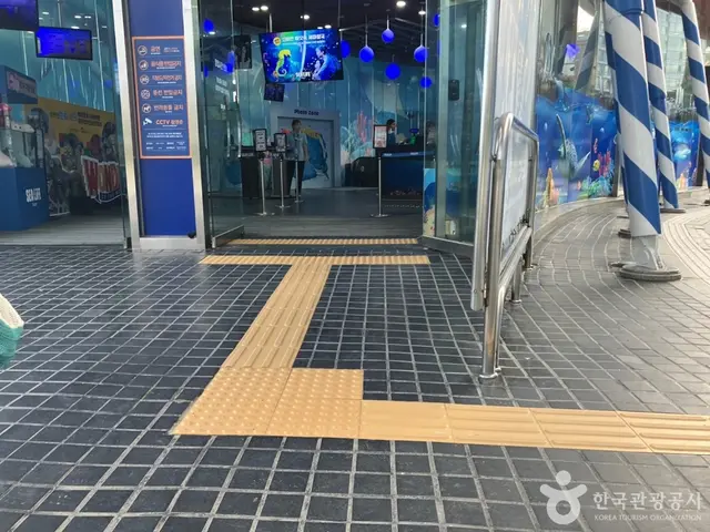 씨라이프부산아쿠아리움 사진