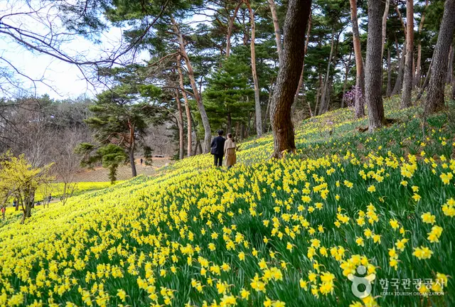 서산유기방가옥 사진
