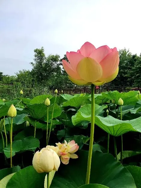 바다향기수목원 사진