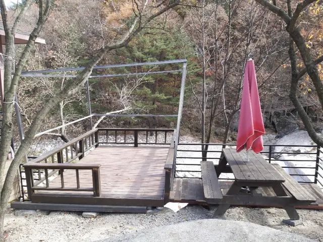 월성오토캠핑장 사진