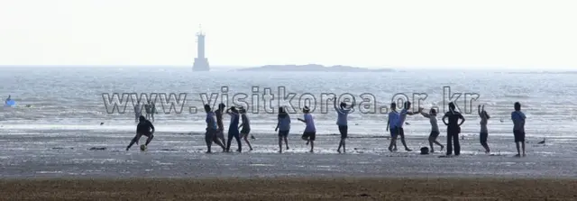 몽산포해수욕장 사진