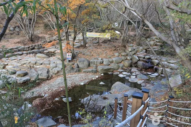성흥사 계곡 사진