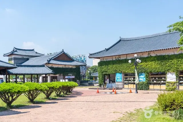 여주도자세상 사진