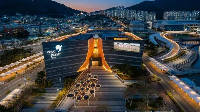 아쿠아플라넷 여수 사진