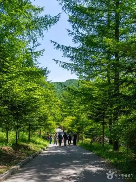 국립횡성숲체원 사진