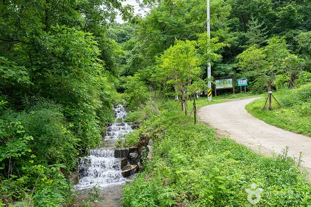 고대산자연휴양림 사진