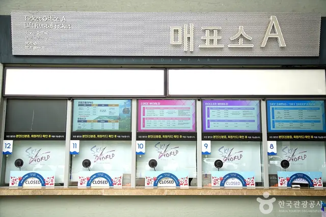 대명 비발디파크 스노위랜드 사진