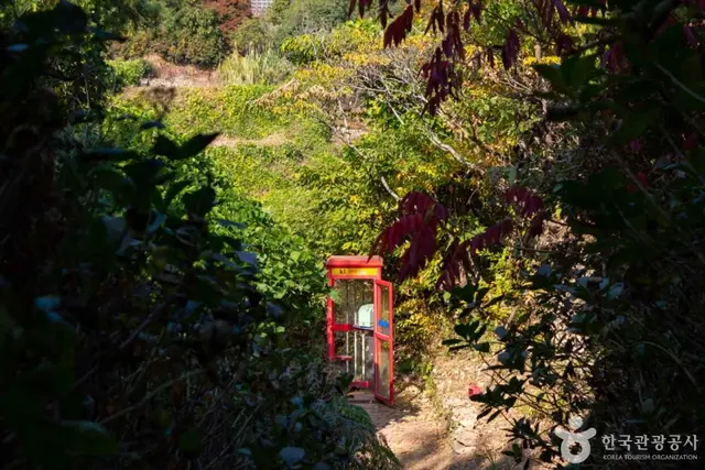 섬이정원 사진