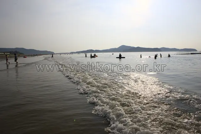 신두리해수욕장 사진