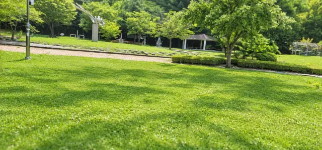 배방지산 유아숲체험원 사진