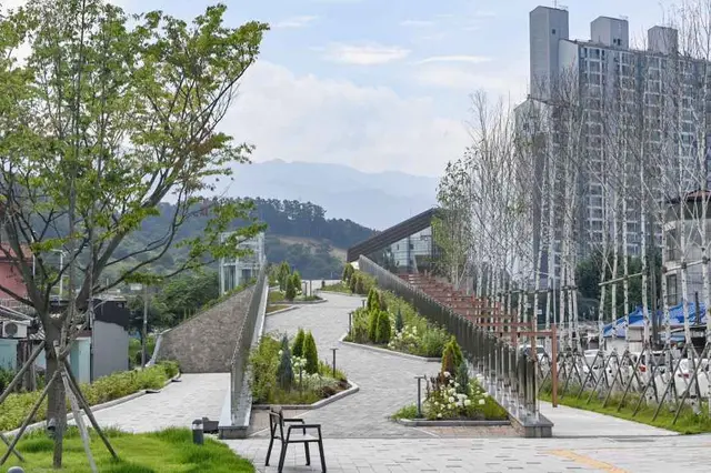 치악산 바람길숲 사진