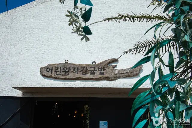 어린왕자감귤밭 사진
