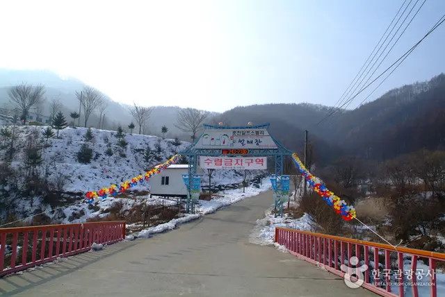 알프스벨리 사계절썰매장 사진
