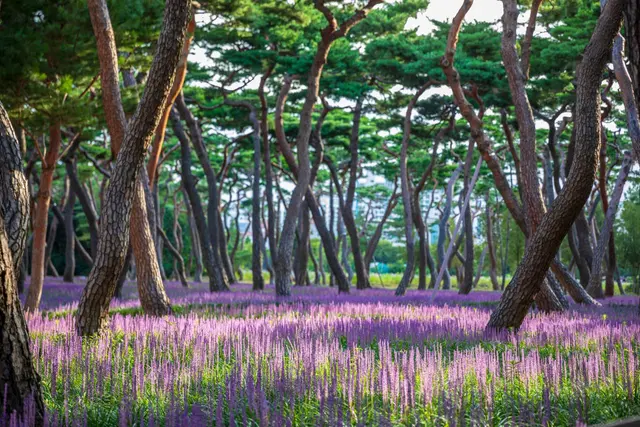 황성공원 사진
