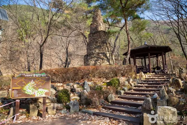 상소동 산림욕장 사진
