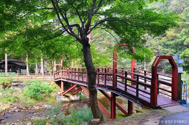 국립 통고산자연휴양림 사진