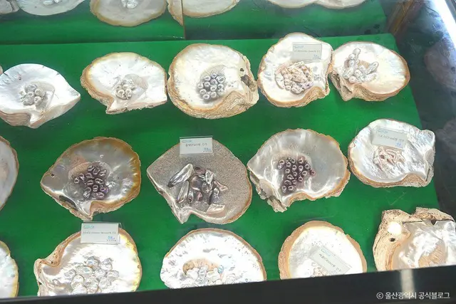 울산해양박물관 사진