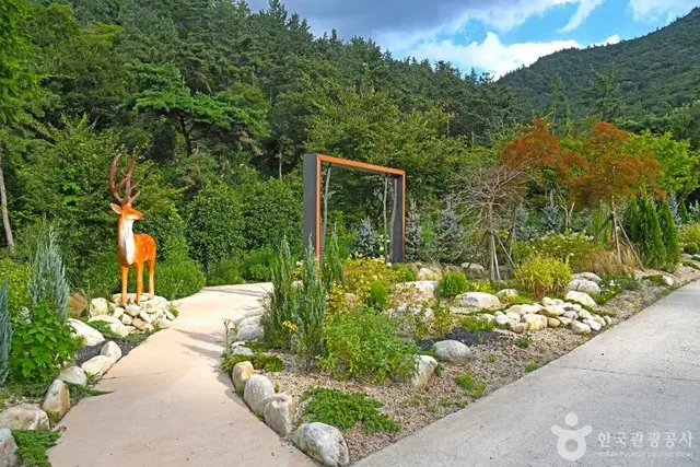 기찬 자연휴양림 사진