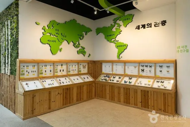 대전곤충생태관 사진