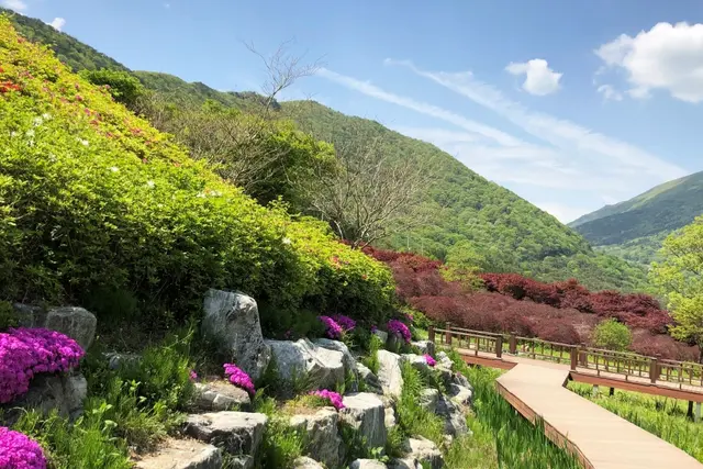 수만리생태숲공원 사진