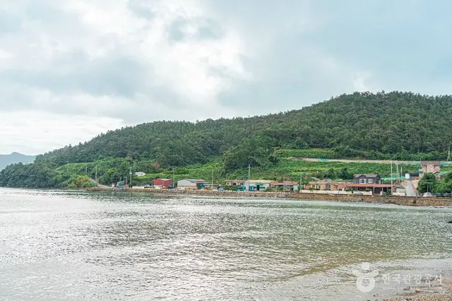 죽림어촌체험마을 사진