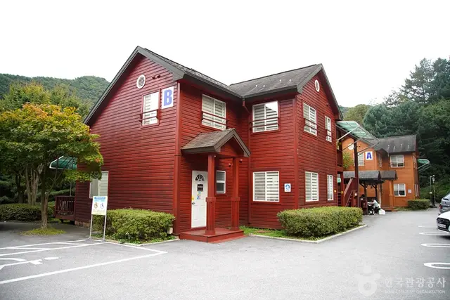 국립 백운산자연휴양림(원주) 사진