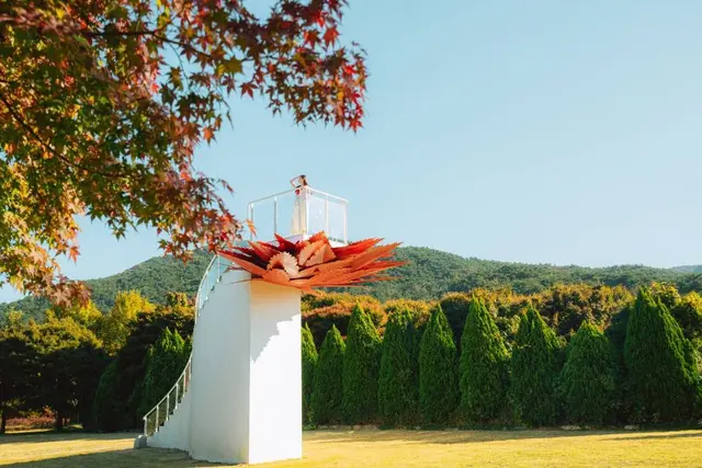 정읍 내장산 단풍생태공원 사진