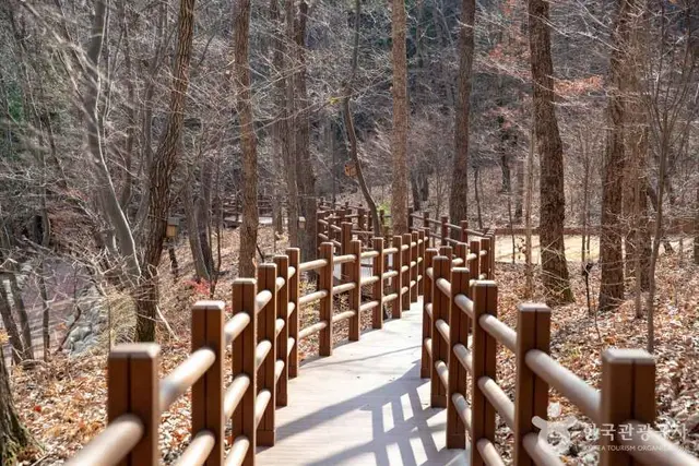 울산수목원 사진